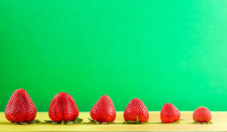 A line up of different sizes of ripe fresh strawberies on yellow and green background with copy space. Concept image for hybrid species of fruits with large and small varieties.の写真素材