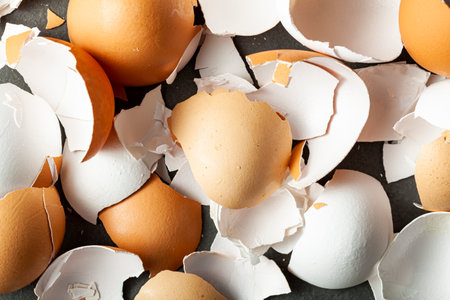 Close up isolated image of irregular shaped broken eggshells on dark background. Various sizes and shapes of brown and white egg shells are seen. Versatile concept image.の写真素材
