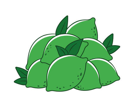 Green limes with leaves. Vector illustration.のイラスト素材