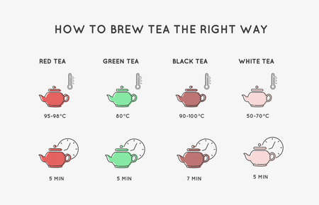 Line icons. Types of tea. How to brew tea correctly. Vector illustration.のイラスト素材