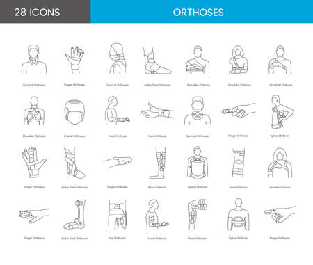 Orthoses linear icons in vectorのイラスト素材