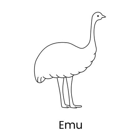 Ostrich Emu vector line icon, illustration of a bird.のイラスト素材
