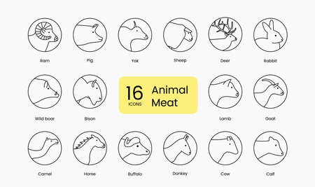 Types of head animal meat, linear icon in vector pig, donkey and cow and beef, wild boar, rabbit and bison, horse, ram, lamb, goat, deer, venison and yak.のイラスト素材