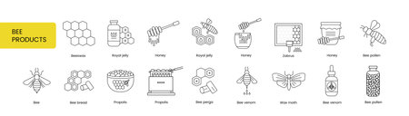 The set of icons of Beekeeping products includes wax moth and bee venom, perga, propolis and bee bread, pollen and zabrus, honey and royal jelly, beeswax, vector illustration of the line.のイラスト素材