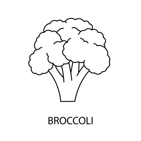 Broccoli line icon in vector, vegetable illustration.のイラスト素材