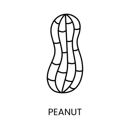 Dive into the world of flavors with the visually captivating Peanut line vector Icon, a representation that captures the essence and allure of this beloved and versatile nut.のイラスト素材
