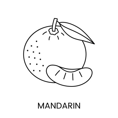 Mandarin vector line icon of a citrus fruit to indicate the presence of an allergen on food packaging.のイラスト素材
