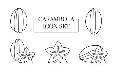 Carambola fruit whole and half, cut into slices, set of line icons in vectorのイラスト素材