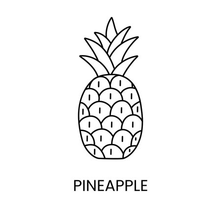 Pineapple line icon in vector, tropical fruit illustrationのイラスト素材