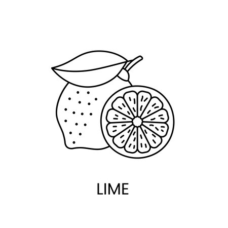 Lime line icon in vector, citrus fruit illustrationのイラスト素材