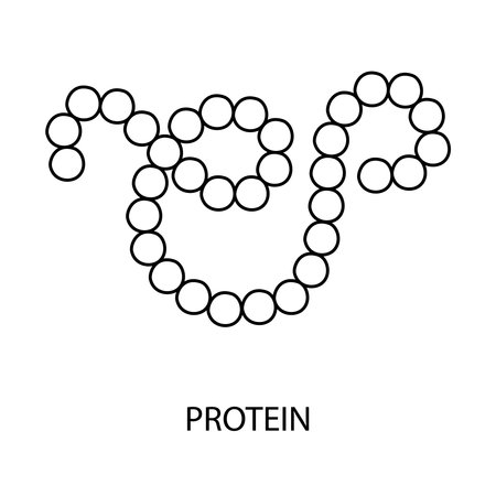 Protein line icon vector for food packaging, protein molecule illustration.のイラスト素材