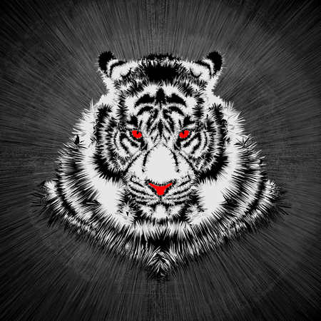 White tiger head / Vector illustration of white tigerのイラスト素材