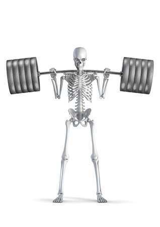 Fitness skeleton squat - 3D illustration of male human skeleton figure squatting heavy barbell isolated on white studio backgroundの写真素材