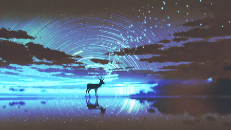 silhouette of the deer walking on water against night sky with blue light, digital art style, illustration paintingの写真素材