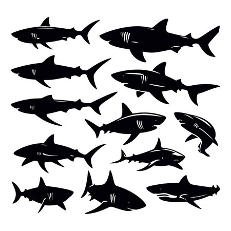 Shark silhouettes set. Black and white vector illustration of sharks.のイラスト素材