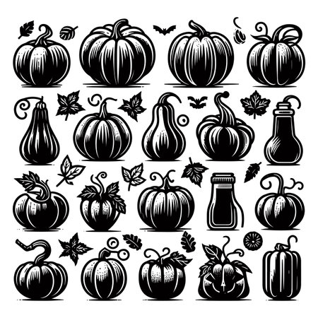 Set of pumpkins and leaves. Black and white vector illustration.のイラスト素材