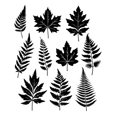 Silhouettes set of black Leaf Inked. Vector isolated illustrationのイラスト素材