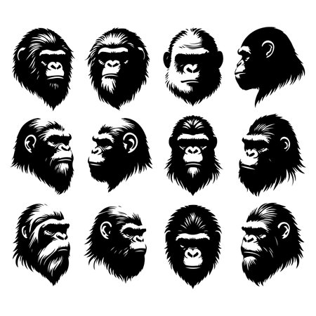 Silhouette set of ape animal head. Vector isolated illustrationのイラスト素材
