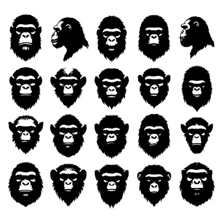 Silhouette set of ape animal head. Vector isolated illustrationのイラスト素材