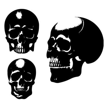 Silhouette set of skull head. Vector isolated illustrationのイラスト素材