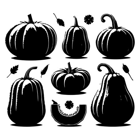 Set of pumpkin silhouettes isolated on a white background, Vector illustration.のイラスト素材