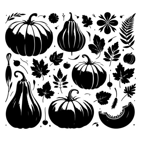 Set of pumpkin silhouettes isolated on a white background, Vector illustration.のイラスト素材