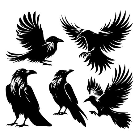 Set of crow silhouette vector on a white backgroundのイラスト素材