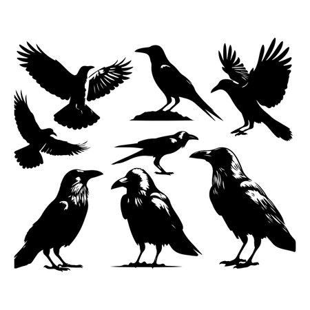 Set of crow silhouette vector on a white backgroundのイラスト素材