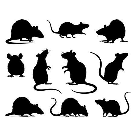 Set of rat silhouette vector on a white backgroundのイラスト素材