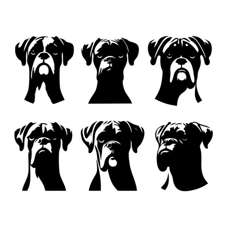 Silhouette set of boxer dog on white backgroundのイラスト素材