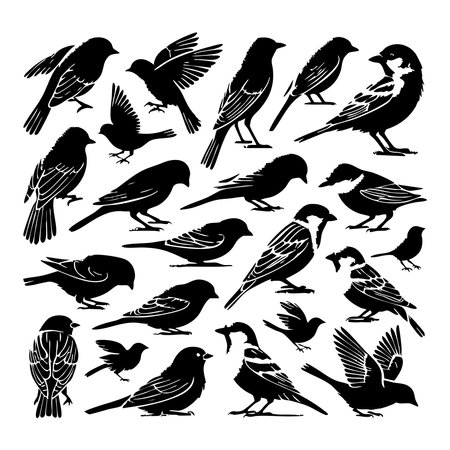 Silhouette set of sparrows on white backgroundのイラスト素材