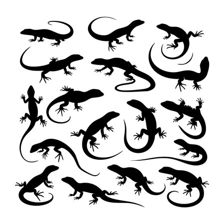Silhouette set of Lizard on white backgroundのイラスト素材