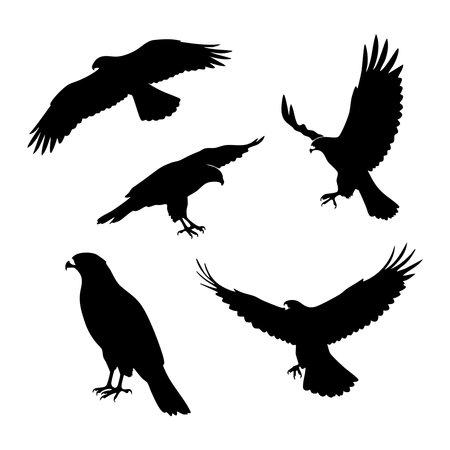 Silhouette set of hawk on white background