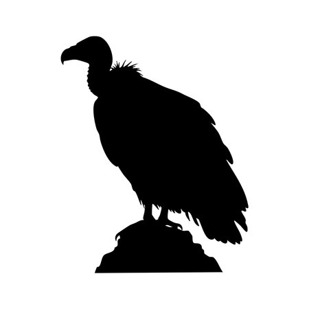 A black silhouette of a vulture is perched on rocks. The silhouette style emphasizes the bird's form.のイラスト素材