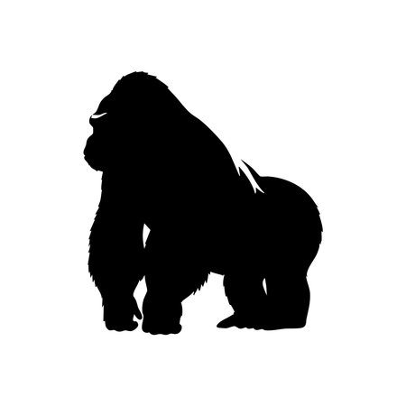 A striking black silhouette of a gorilla, showcasing its muscular build and imposing presence. This powerful primate is depicted in a side profile, isolated on a clean white background.のイラスト素材