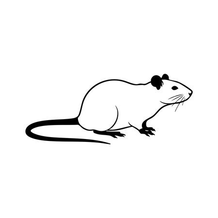 This image features a stylized black silhouette of a rat. The rodent is depicted in profile, showcasing its body, tail, ears, and whiskers against a clean white background.のイラスト素材