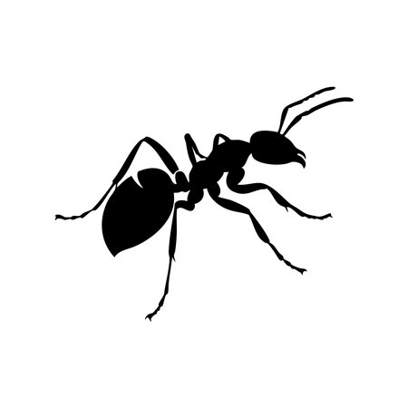 A striking black silhouette of an ant presented clearly on a plain white background, highlighting its distinct form.のイラスト素材