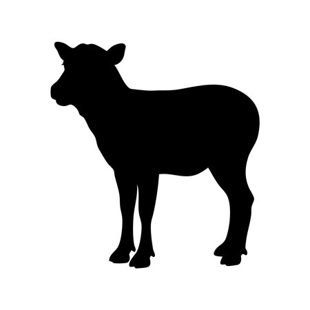 A striking black silhouette of a young sheep, presented clearly isolated on a white background, showcasing its distinctive shape.のイラスト素材