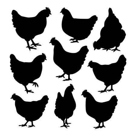 A collection of nine distinct chicken silhouettes presented in a clean, graphic style on a white background.のイラスト素材