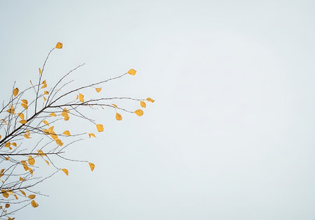Delicate yellow leaves cling to a snow-dusted branch, a beautiful contrast of seasons against a soft, overcast sky.の素材