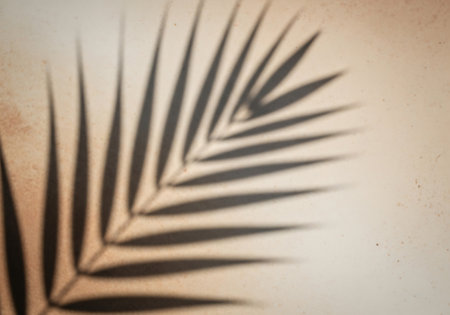 A blurred shadow of a palm leaf casts delicate lines and shapes on a warm, neutral-toned surface, creating an artistic natural pattern.の素材