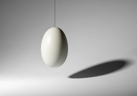 A single, smooth, white oval pendant lamp hangs from a thin wire, creating a dramatic shadow on a textured wall.の素材