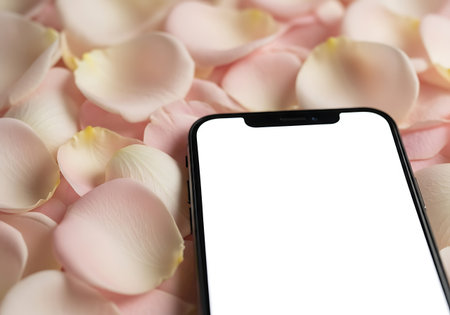 A contemporary mobile device with a white screen rests on a delicate arrangement of light pink and cream rose petals.の素材