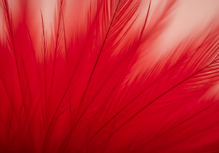 Close up macro view of delicate red feathers creating a soft, textured abstract background.の素材