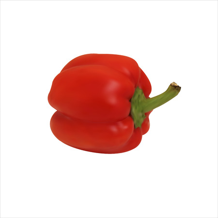 Juicy red bell pepper, paprika. Gradient mesh. Isolated on white background. Vector illustration.のイラスト素材