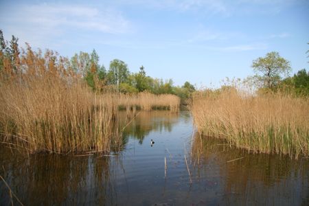 paysage paysage