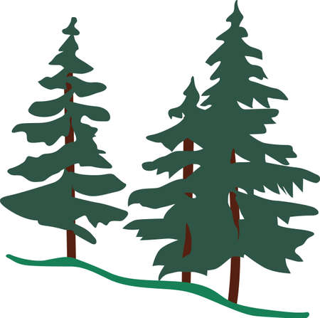 Stately evergreens take your thoughts to a place of cool fragrant breezes.  These stately trees are a lovely way to decorate winter wear.のイラスト素材