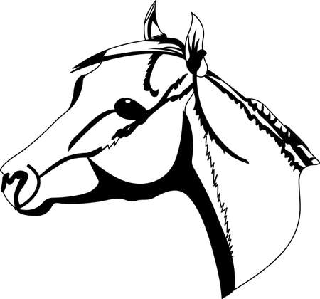 Horses are simply the best.  This simple one color drawing adds that special equestrian touch to your projects.のイラスト素材
