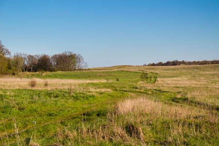 Track in a field under a clear skyの写真素材