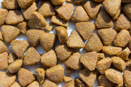 cat food background texture